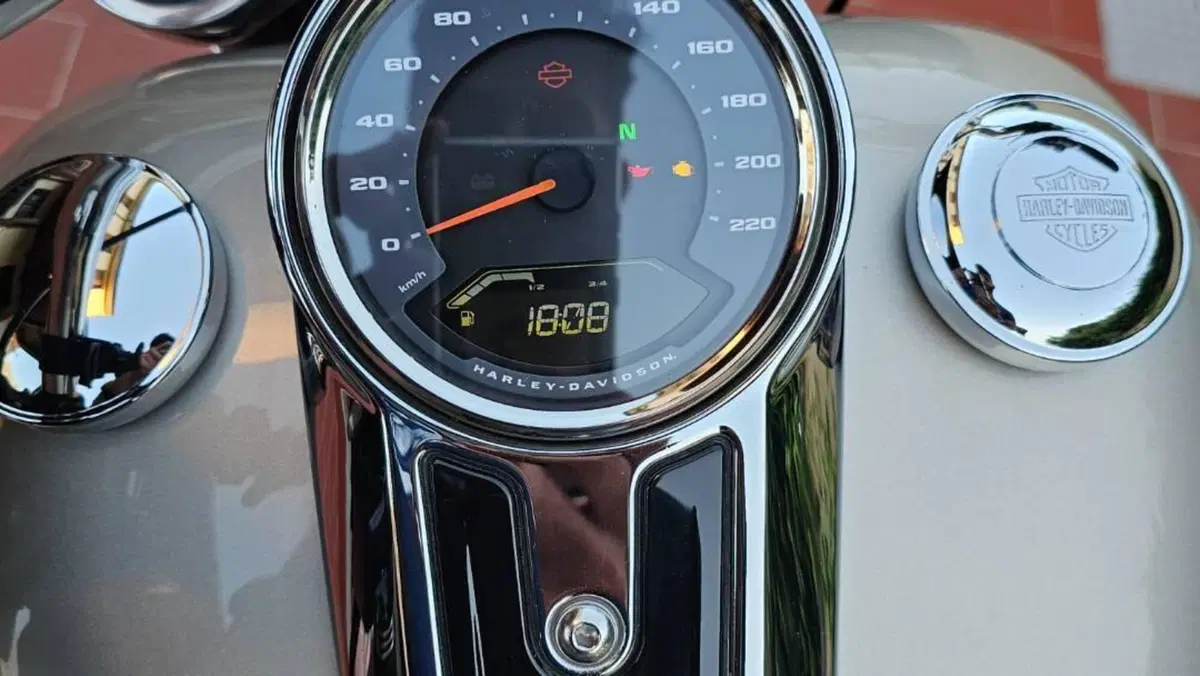 Harley-Davidson Sport Glide (2021 - 25)  (10)