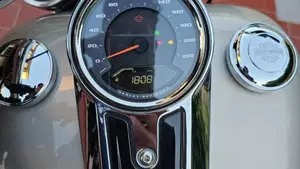 Harley-Davidson Sport Glide (2021 - 25)  (10)