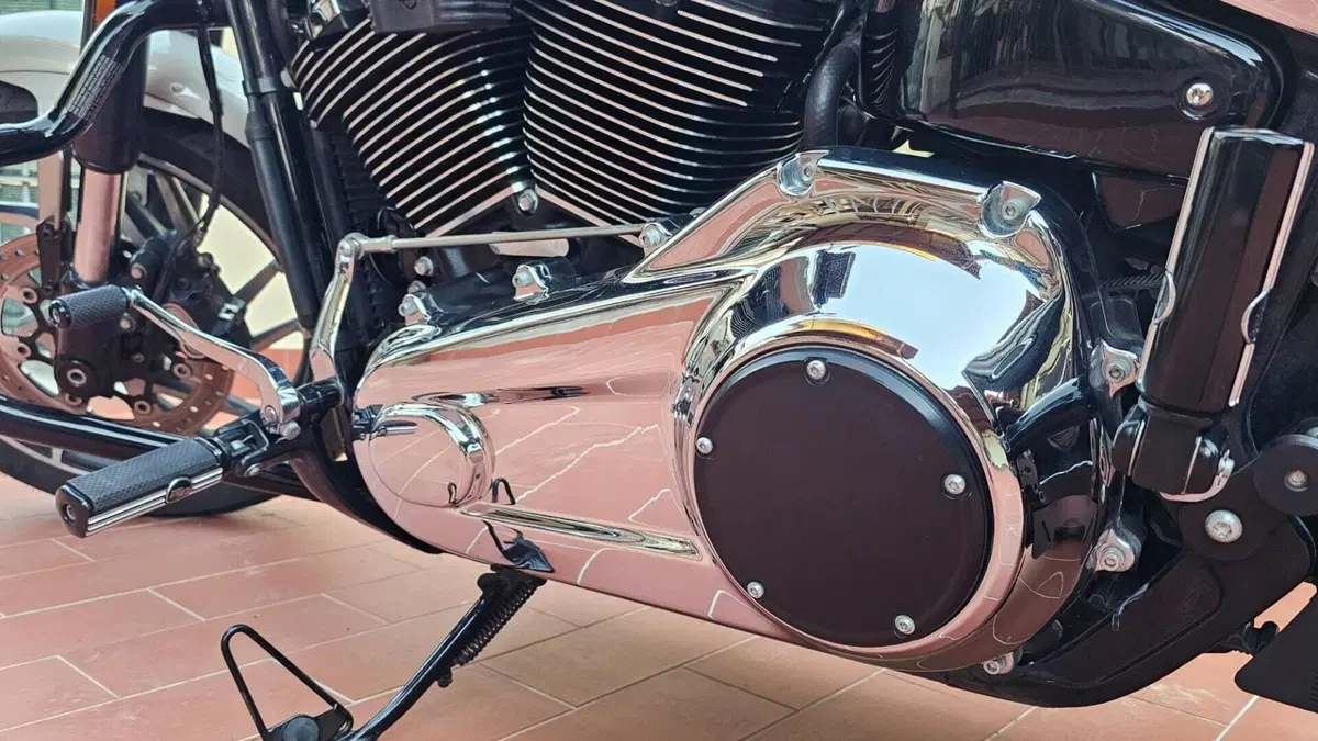 Harley-Davidson Sport Glide (2021 - 25)  (9)