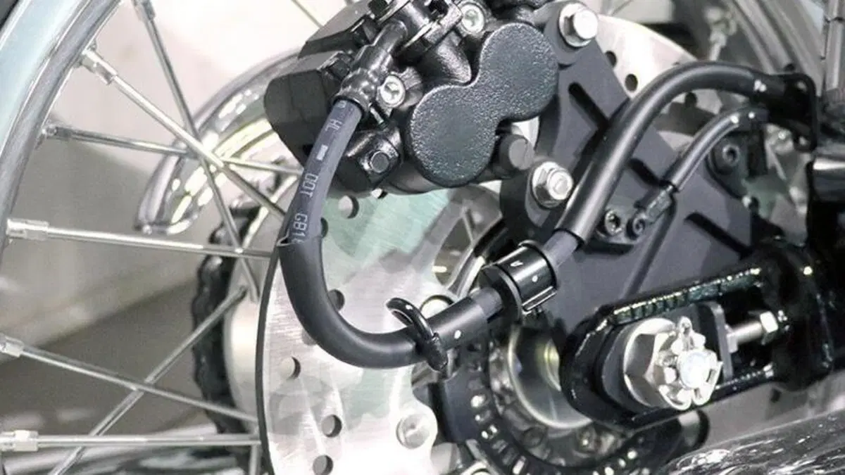 Kawasaki W 800 (2021 - 27)  (5)
