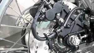 Kawasaki W 800 (2021 - 27)  (5)