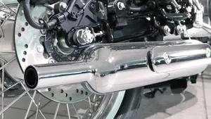 Kawasaki W 800 (2021 - 27)  (9)