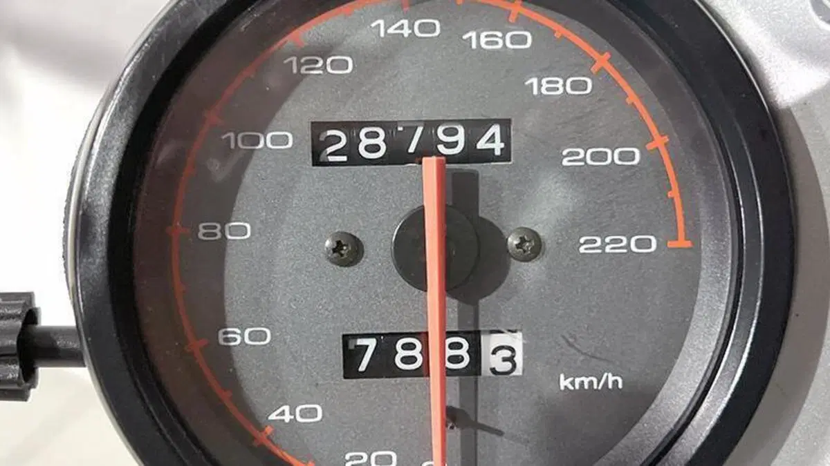 Ducati Monster 600 (1994 - 02)  (5)