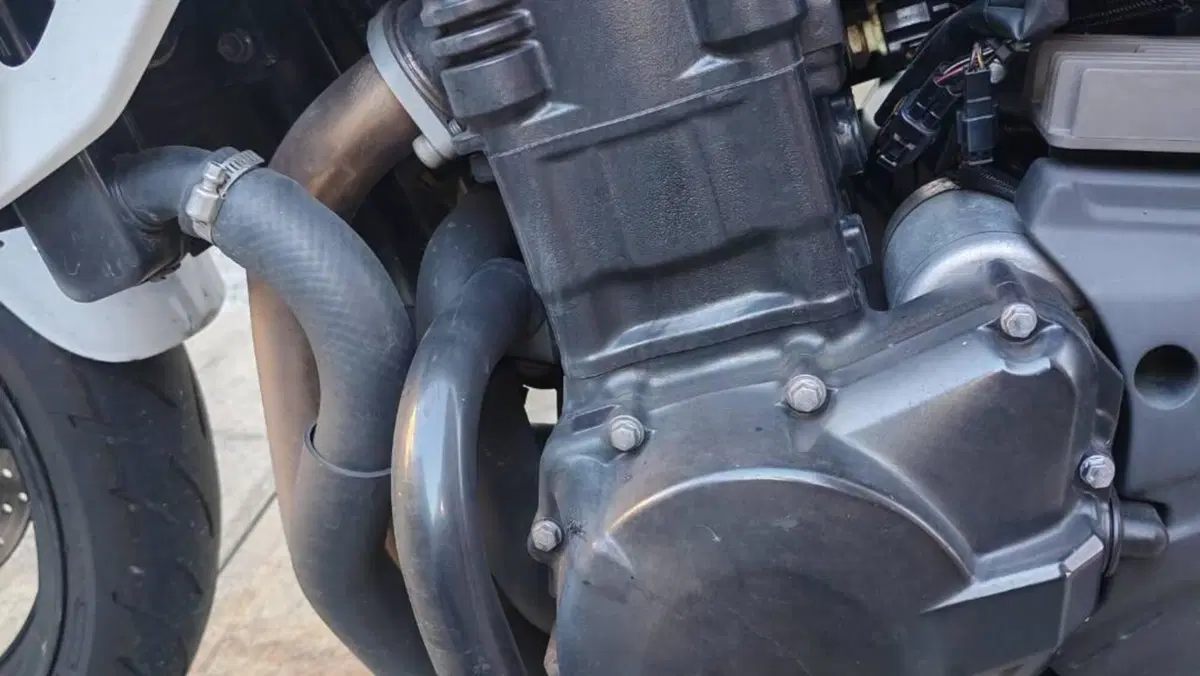 Suzuki Bandit 1250 S ABS (2015 - 17)  (6)