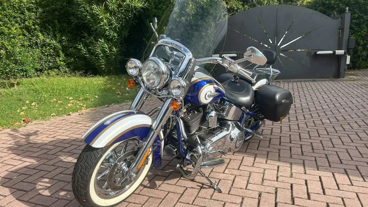 Harley-Davidson 1800 Deluxe (2014 - 15) - FLSTNSE  (3)