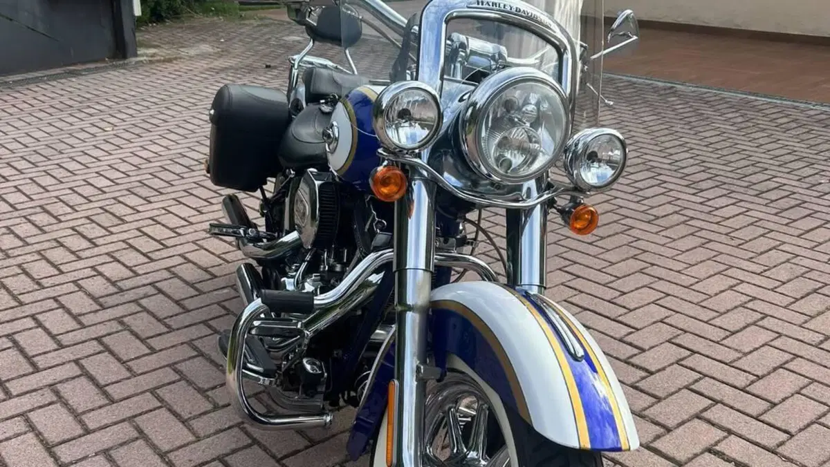 Harley-Davidson 1800 Deluxe (2014 - 15) - FLSTNSE  (5)