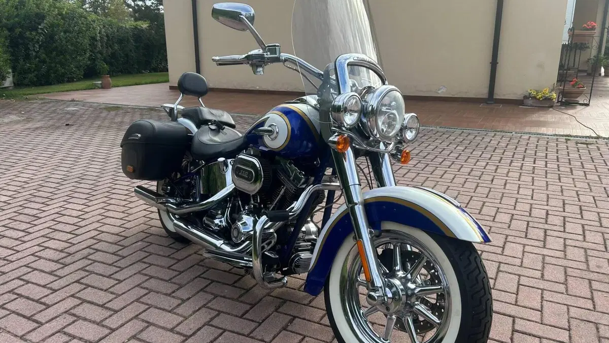 Harley-Davidson 1800 Deluxe (2014 - 15) - FLSTNSE  (6)