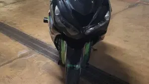 Kawasaki ZZR 1400 ABS S.E. (2013 - 16)  (9)
