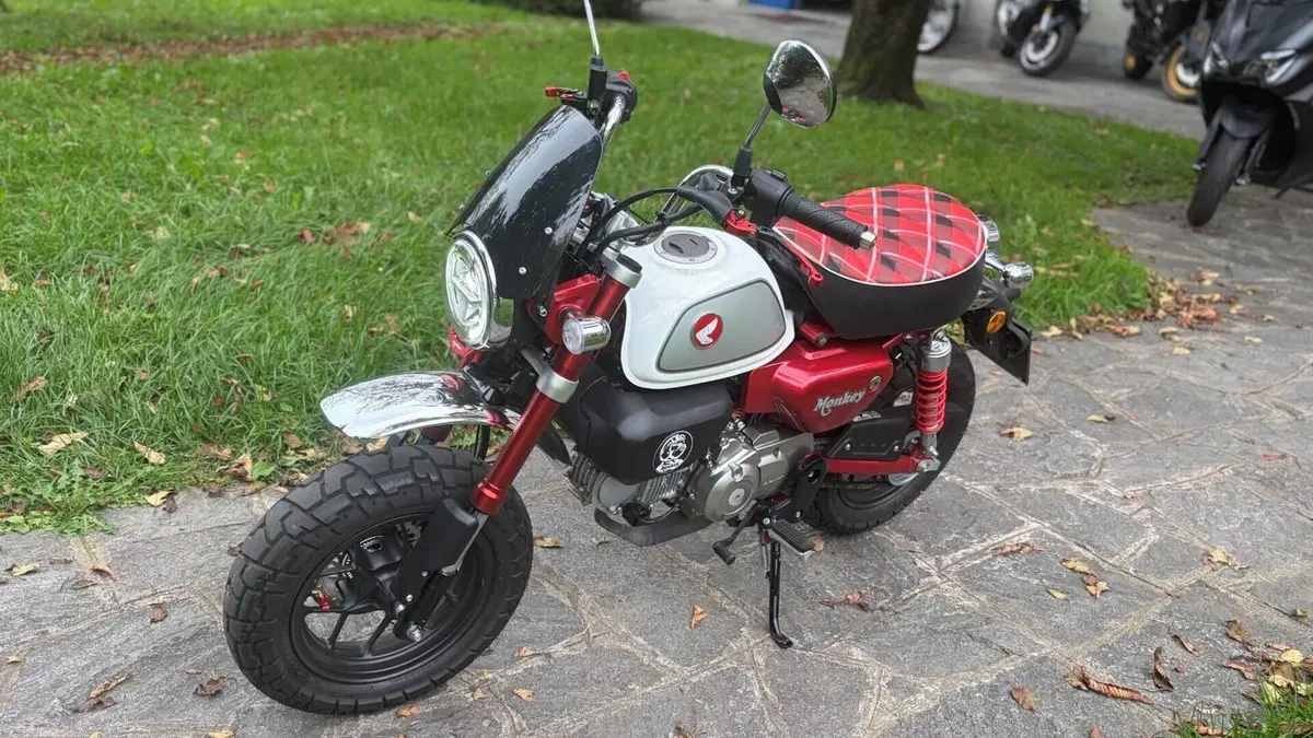 Honda Monkey 125 (2022 - 24)  (2)