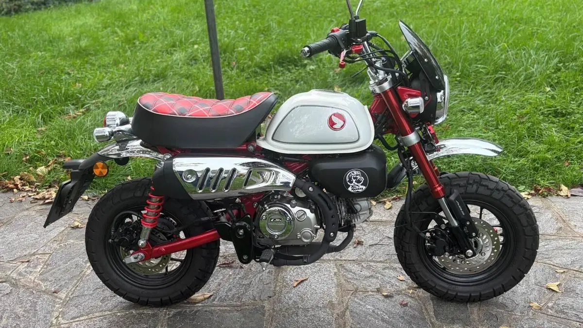 Honda Monkey 125 (2022 - 24)  (5)