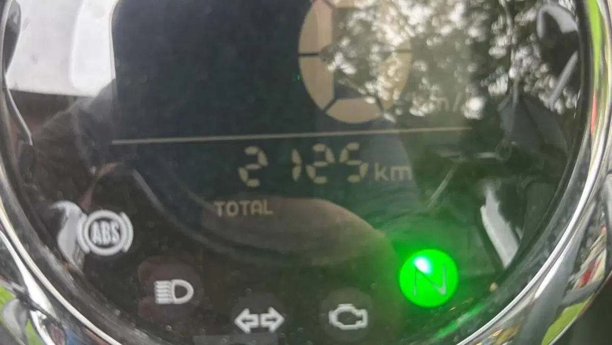 Honda Monkey 125 (2022 - 24)  (6)