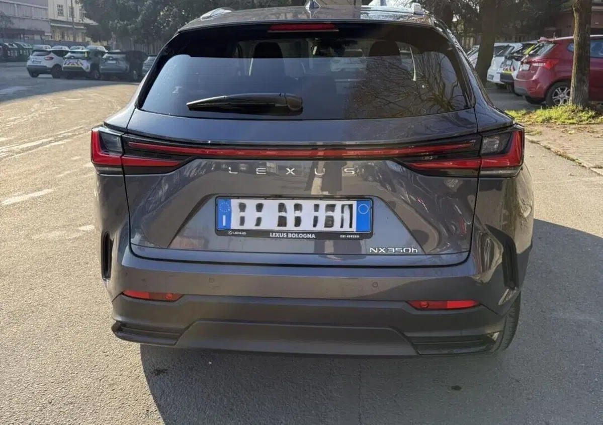 Lexus NX Hybrid 4WD Premium (12)