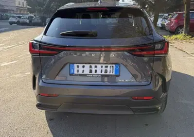 Lexus NX Hybrid 4WD Premium (12)