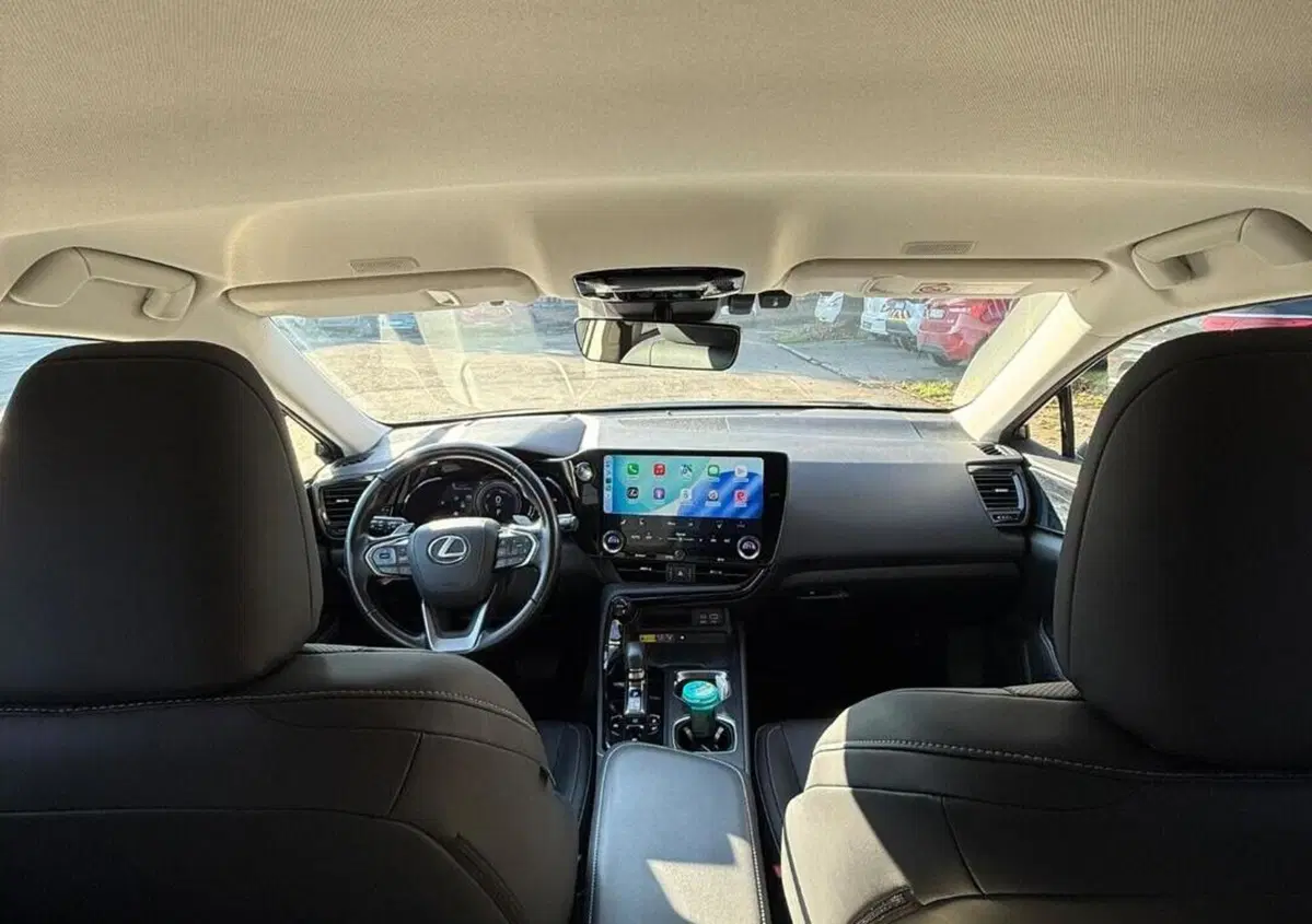 Lexus NX Hybrid 4WD Premium (15)