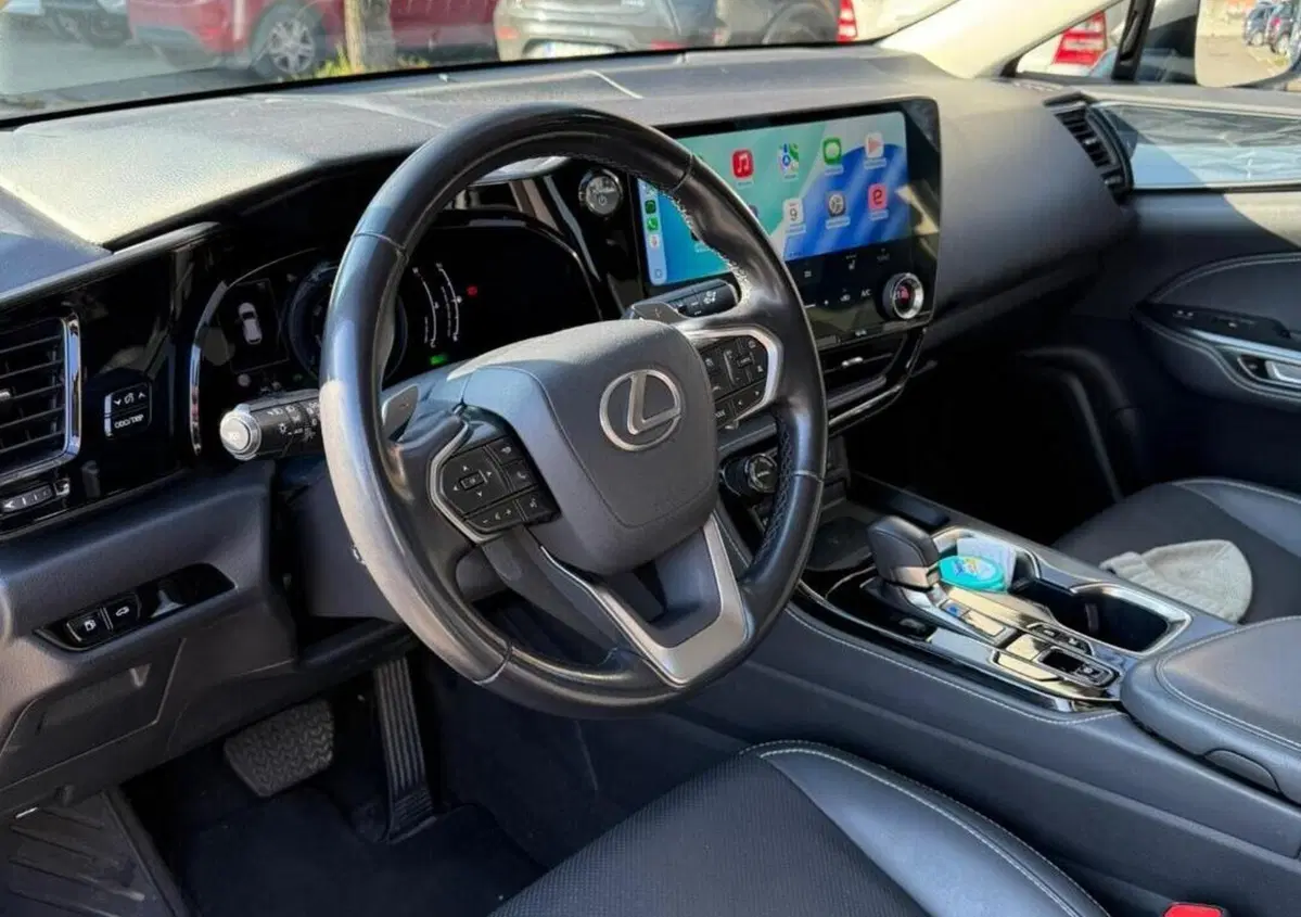 Lexus NX Hybrid 4WD Premium (17)