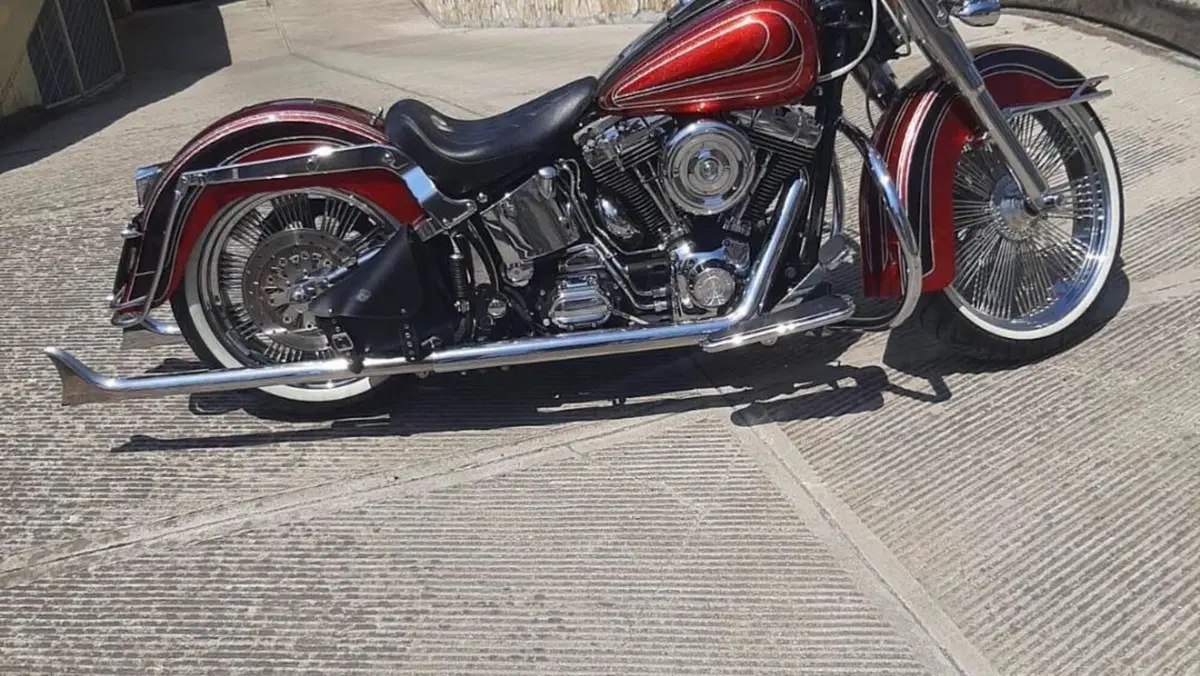 Harley-Davidson 1450 Deluxe (2005 - 06) - FLSTNI  (4)