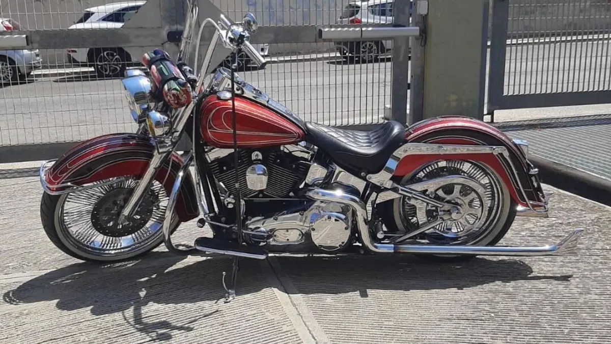Harley-Davidson 1450 Deluxe (2005 - 06) - FLSTNI  (5)