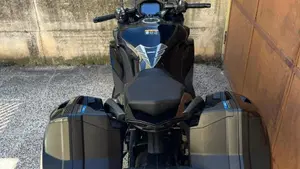 Kawasaki Ninja 1000 SX (2021 - 24)  (3)
