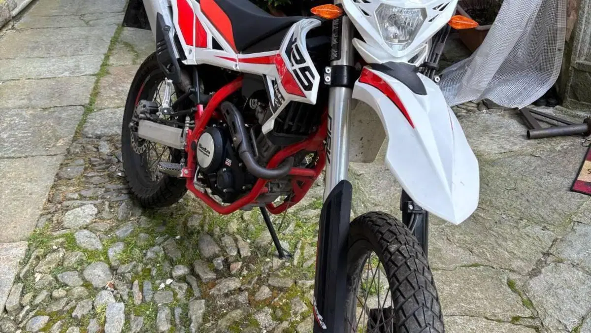 Betamotor RR 125 4T Enduro LC (2018 - 20)  (4)
