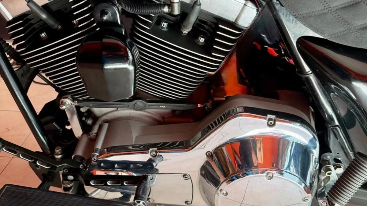 Harley-Davidson 1450 Electra Glide Standard (2002 - 09) - FLHTC  (4)