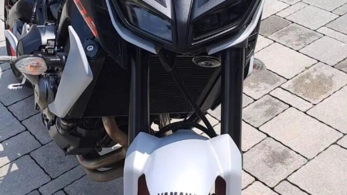 Yamaha MT-09 (2017 - 20)  (6)
