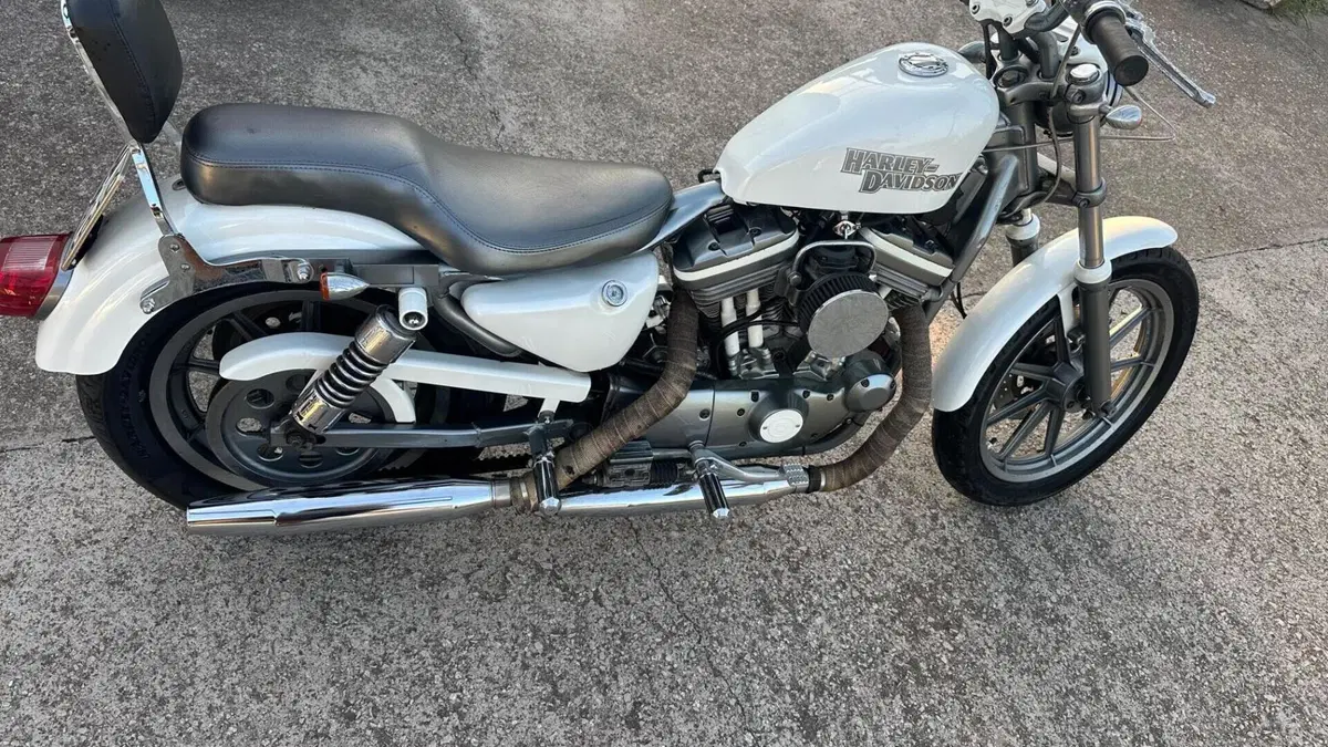 Harley-Davidson 883 Standard (1994 - 00) - XLH  (4)