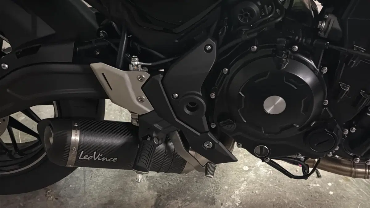 Kawasaki Z 650 RS (2025 - 27)  (6)