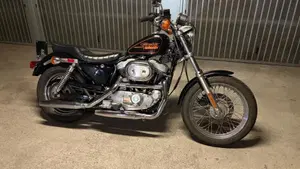Harley-Davidson   (2)