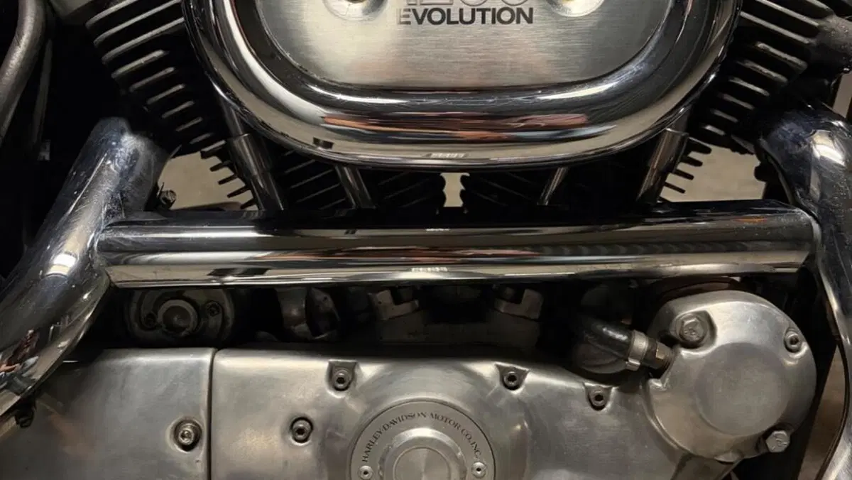 Harley-Davidson   (7)