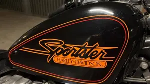 Harley-Davidson   (8)