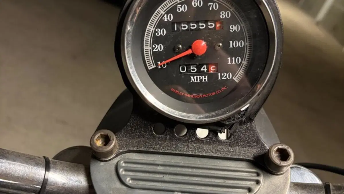 Harley-Davidson   (10)