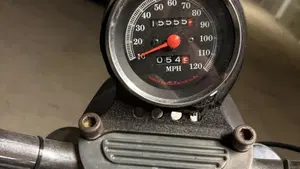 Harley-Davidson   (10)