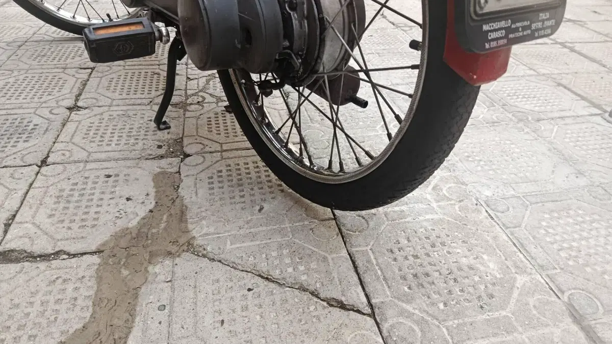 Piaggio   (4)