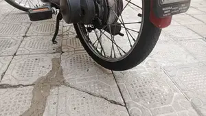 Piaggio   (4)