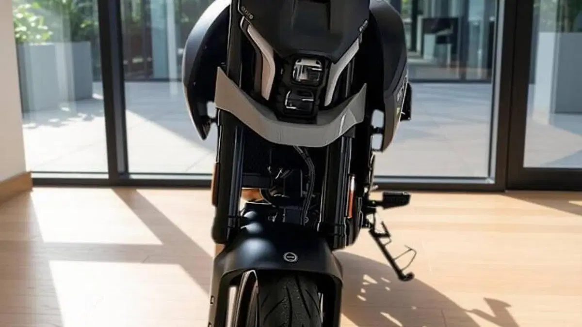 Benelli BKX 300 S (2026)  (6)