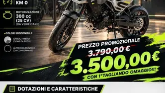 Benelli BKX 300 S (2026) usata