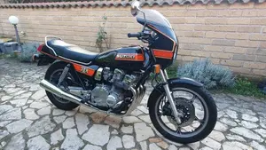 Suzuki   (2)