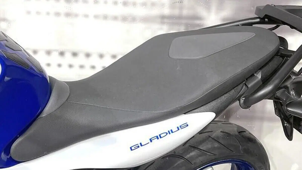 Suzuki Gladius 650 SFV (2009 - 15)  (5)