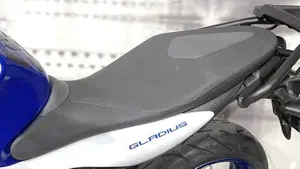 Suzuki Gladius 650 SFV (2009 - 15)  (5)