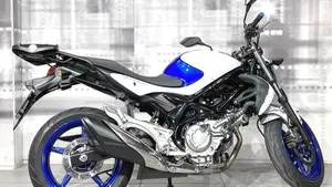 Suzuki Gladius 650 SFV (2009 - 15)  (8)