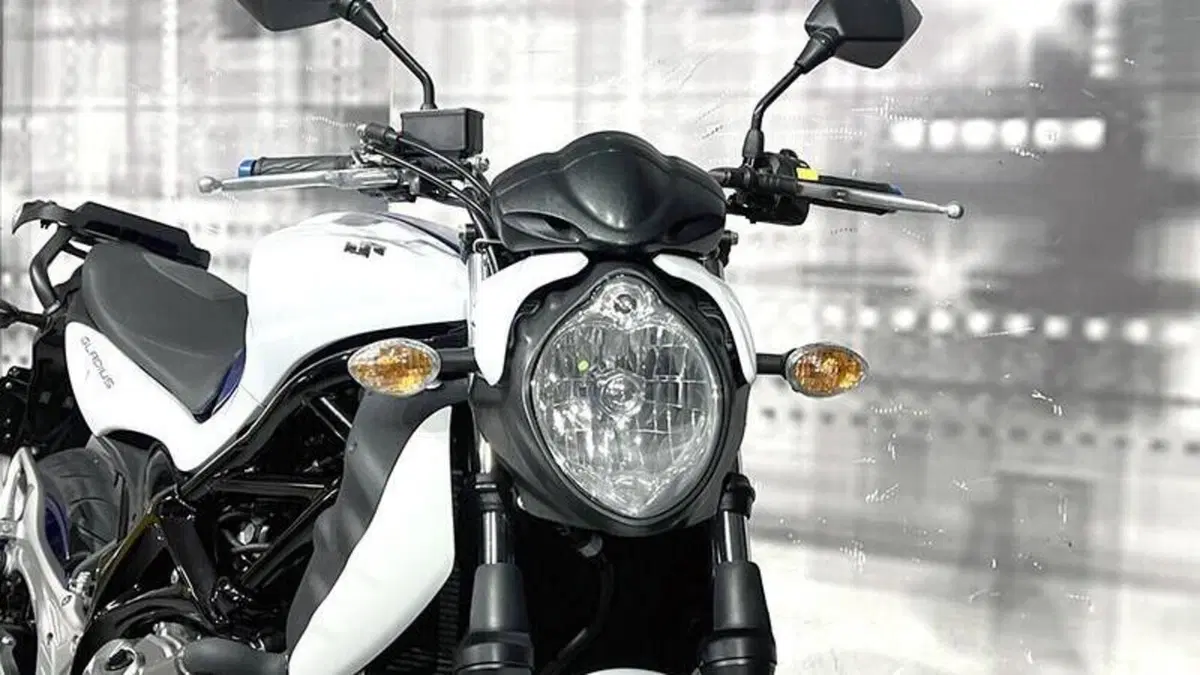 Suzuki Gladius 650 SFV (2009 - 15)  (9)