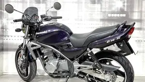 Kawasaki ER-5 500 (2001 - 06)  (2)