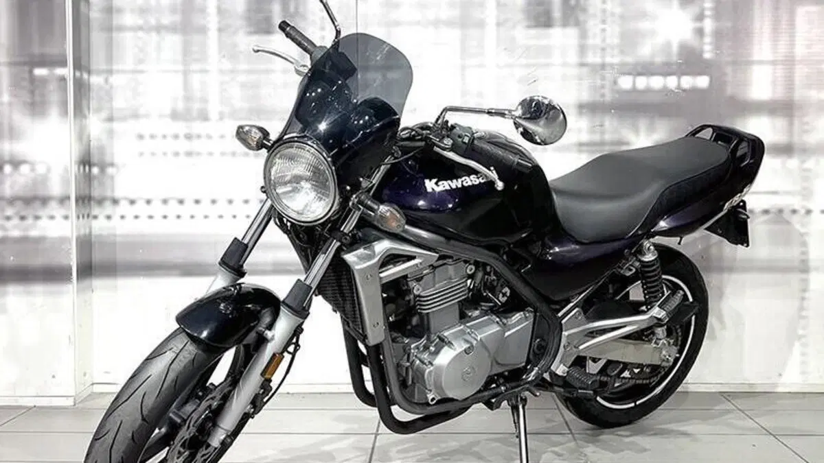 Kawasaki ER-5 500 (2001 - 06)  (7)