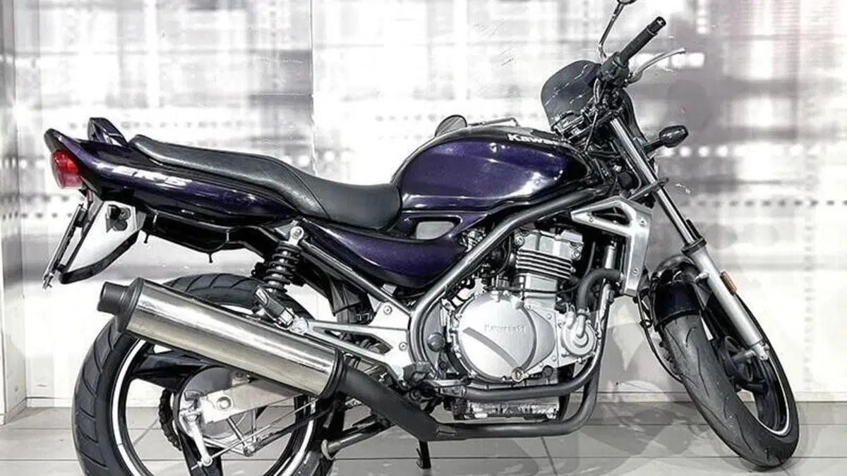 Kawasaki ER-5 500 (2001 - 06)  (8)