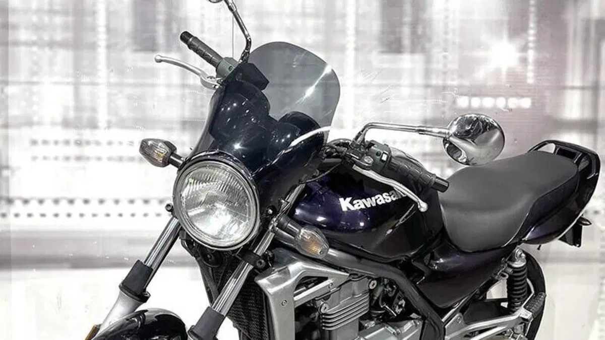 Kawasaki ER-5 500 (2001 - 06)  (9)