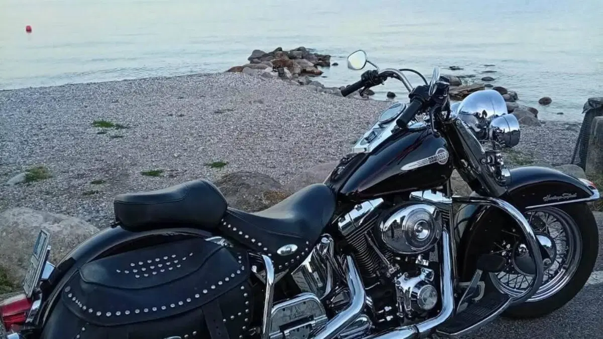 Harley-Davidson 1450 Heritage Classic (2003 - 05) - FLSTCI  (2)