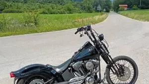 Harley-Davidson 1450 Springer (2002 - 04) - FXSTSI  (3)