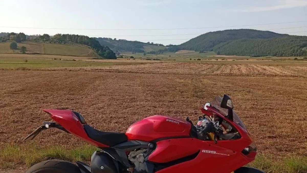 Ducati 1199 Panigale S (2013 - 14)  (4)