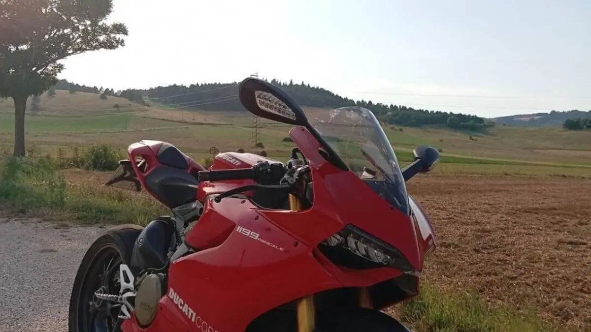 Ducati 1199 Panigale S (2013 - 14)  (5)