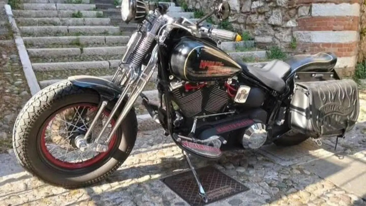 Harley-Davidson 1340 Springer (1990 - 98) - FXSTS  (2)